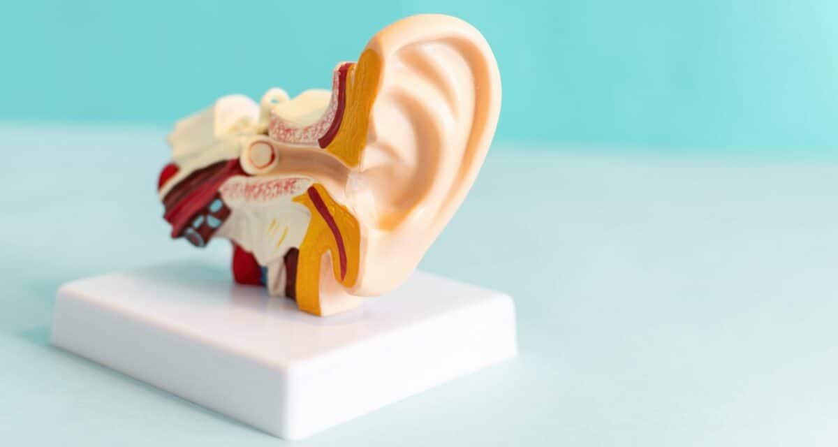 The Role of Ears in the Balance System